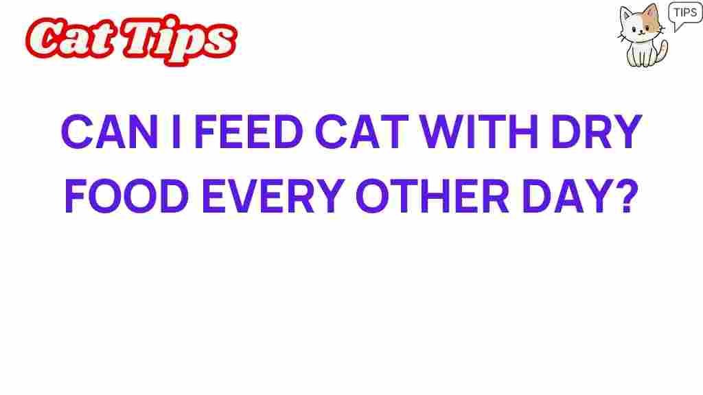 cat-nutrition-dry-food-every-other-day