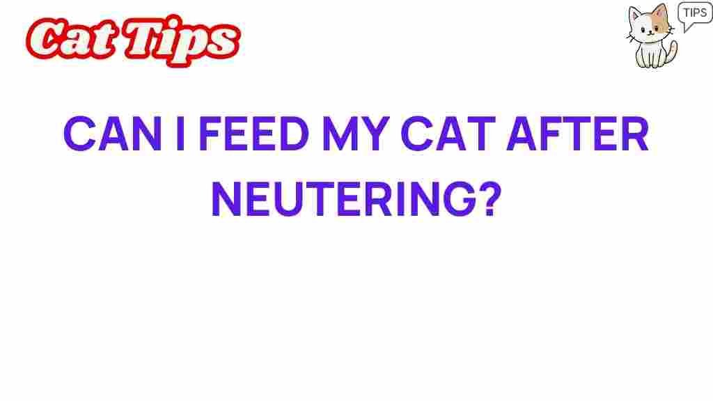 cat-feeding-after-neutering