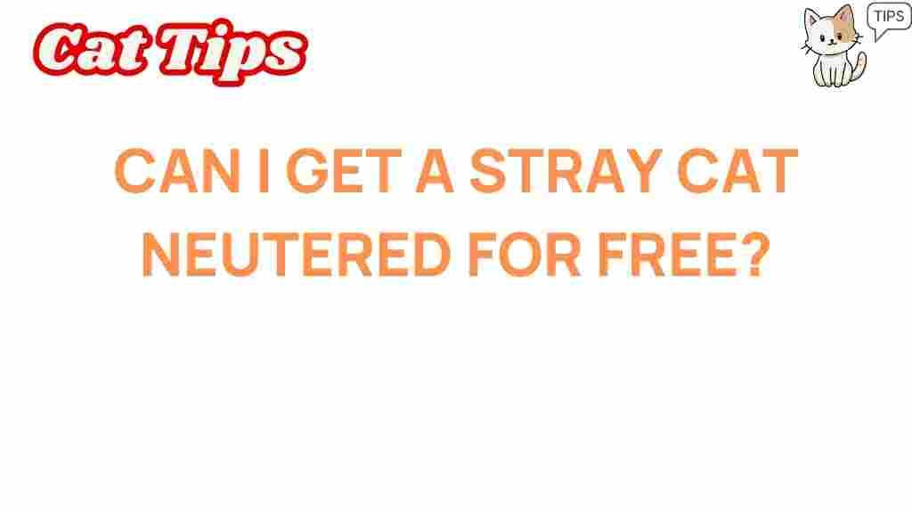 stray-cat-neutering-free-options