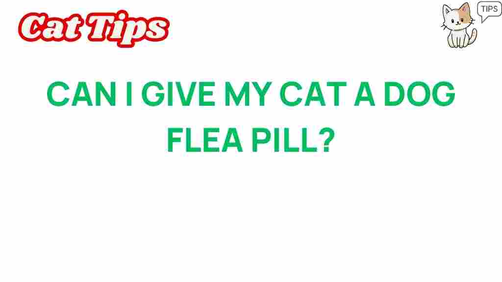 can-dog-flea-pills-treat-your-cat