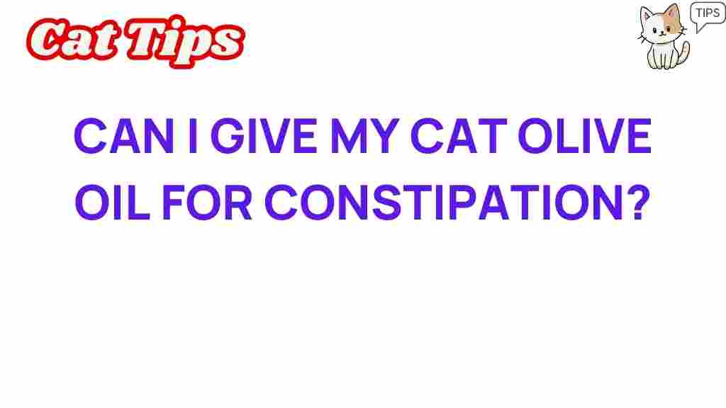 olive-oil-cat-constipation