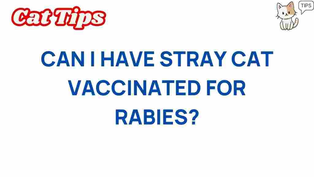 stray-cat-vaccination-rabies