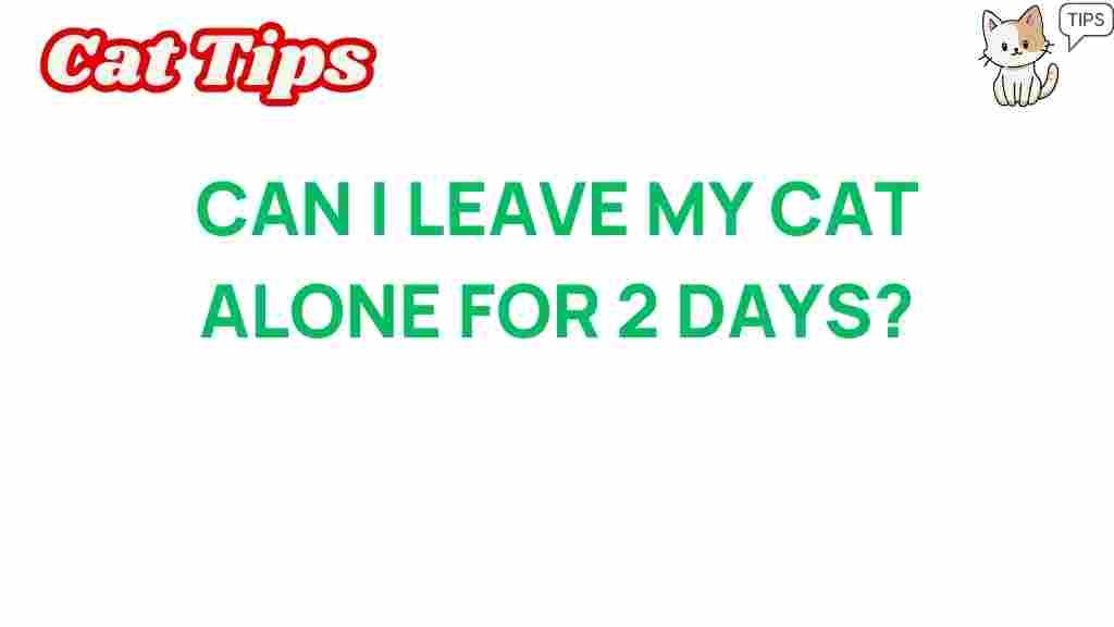 cat-care-leave-alone-48-hours