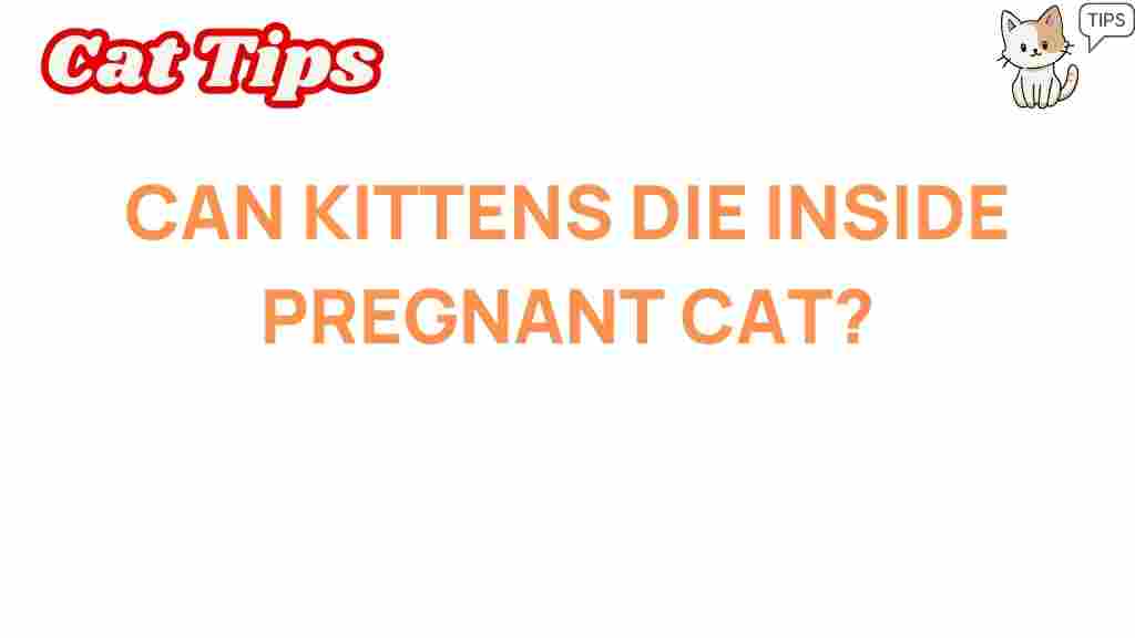 kittens-survive-pregnant-cat