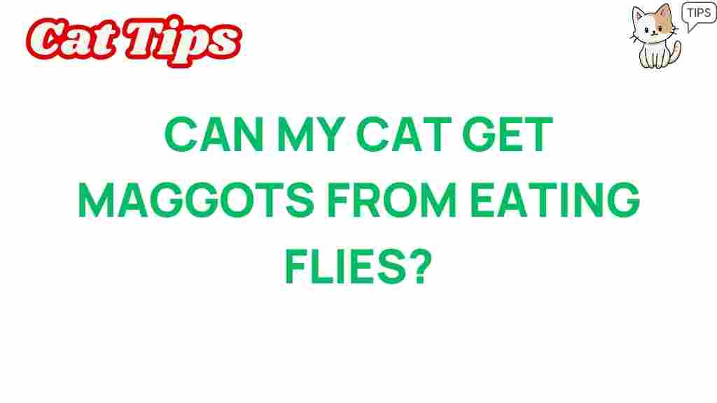 can-your-cat-get-maggots-from-eating-flies