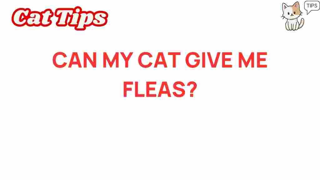 can-my-cat-give-me-fleas