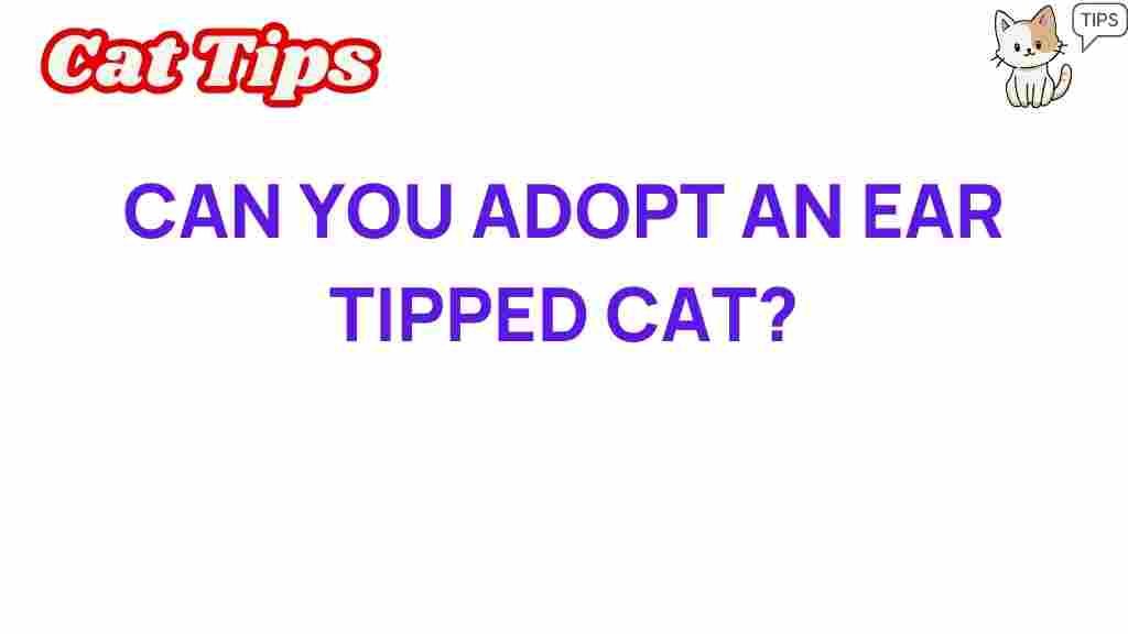 ear-tipped-cats-adoption