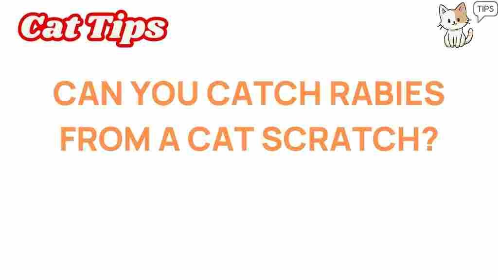 rabies-cat-scratch