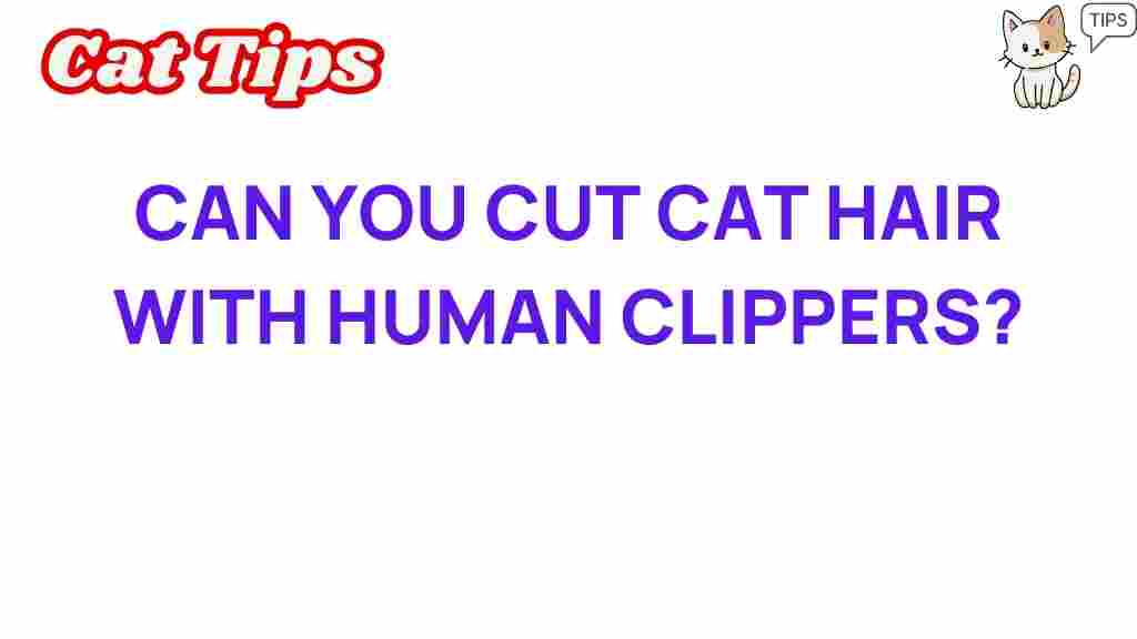 can-you-cut-cat-hair-with-human-clippers
