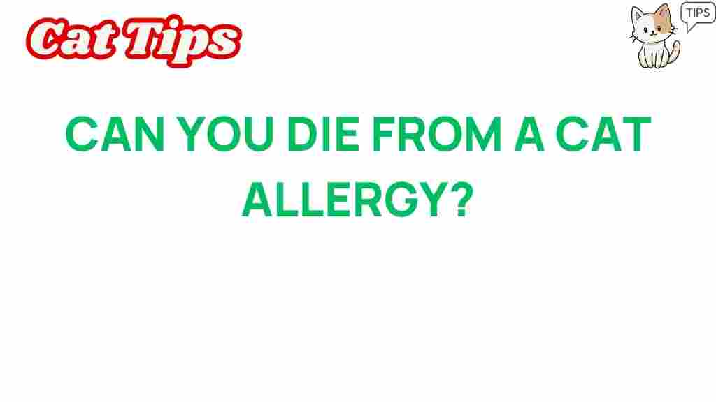 cat-allergy-danger