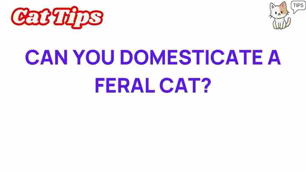 feral-cats-domesticate