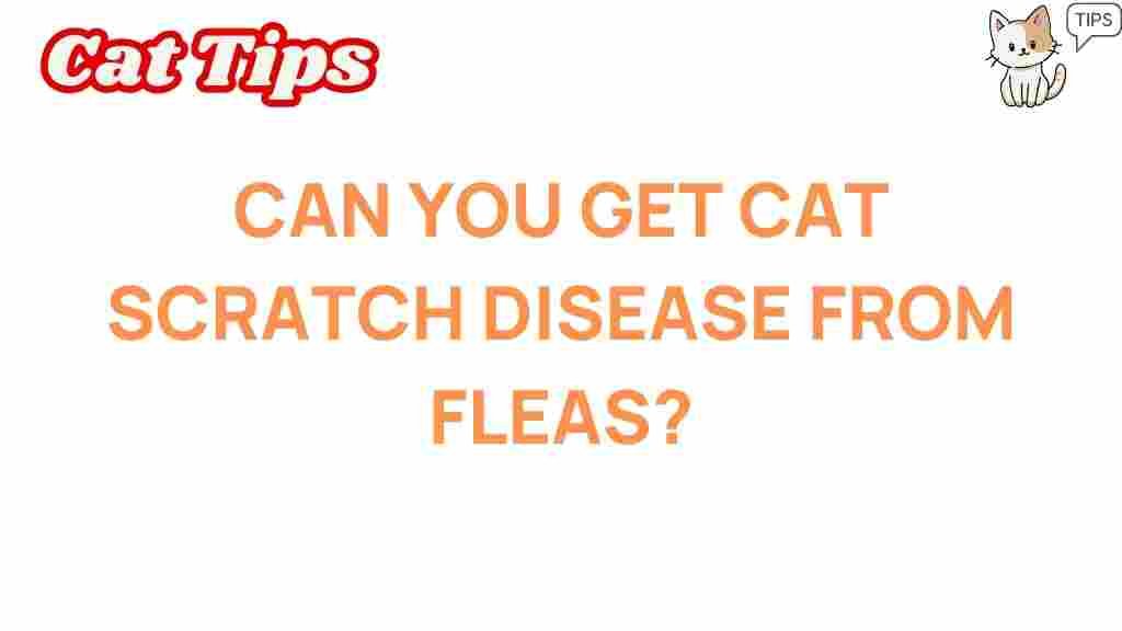 cat-scratch-disease-fleas