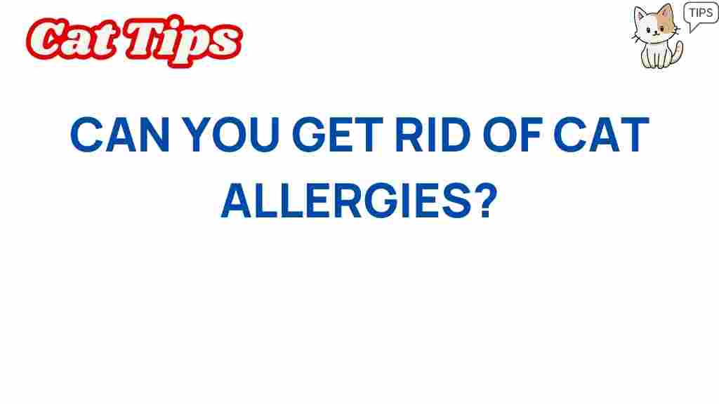 cat-allergies-relief