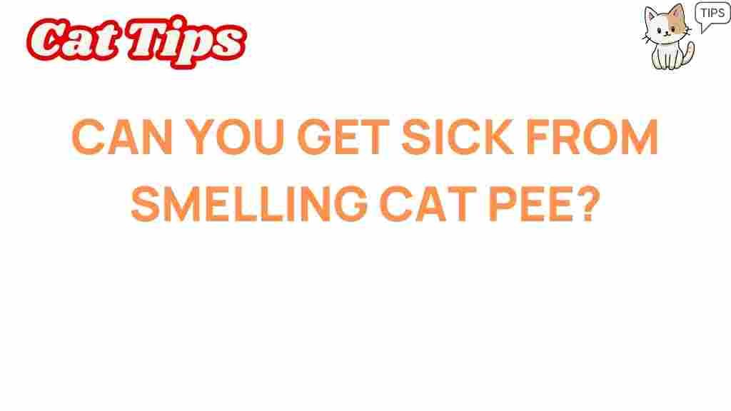 cat-pee-health-risks