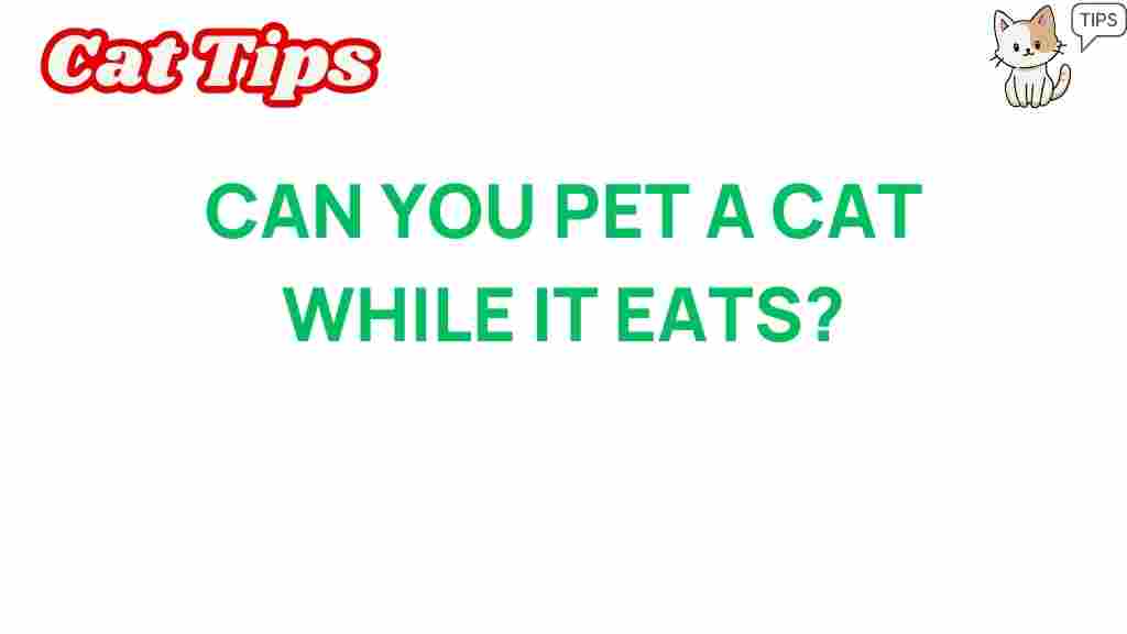 can-you-pet-a-cat-while-it-eats