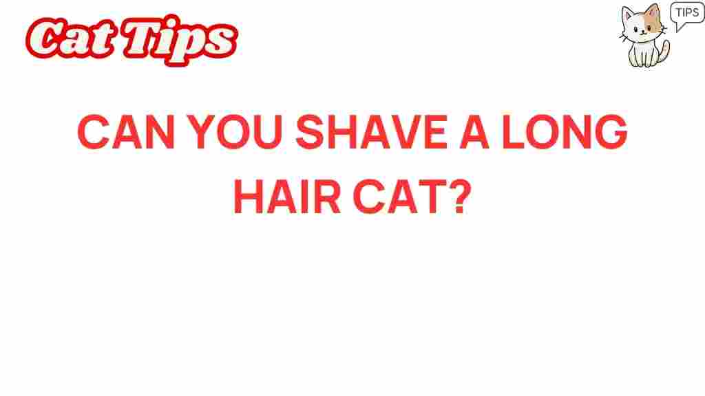 long-haired-cats-shaving-facts