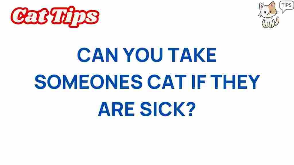 cat-custody-if-someone-sick