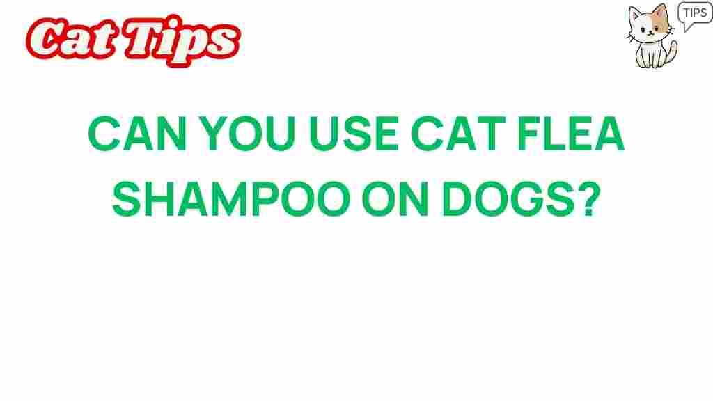 can-cat-flea-shampoo-be-used-on-dogs