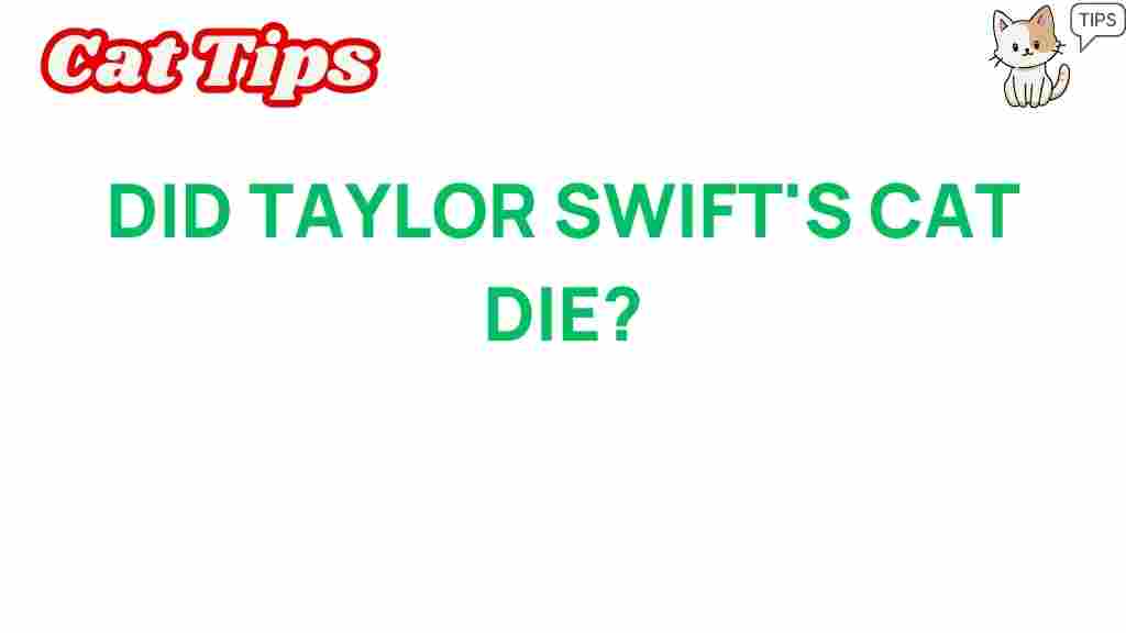 taylor-swift-cat-mystery