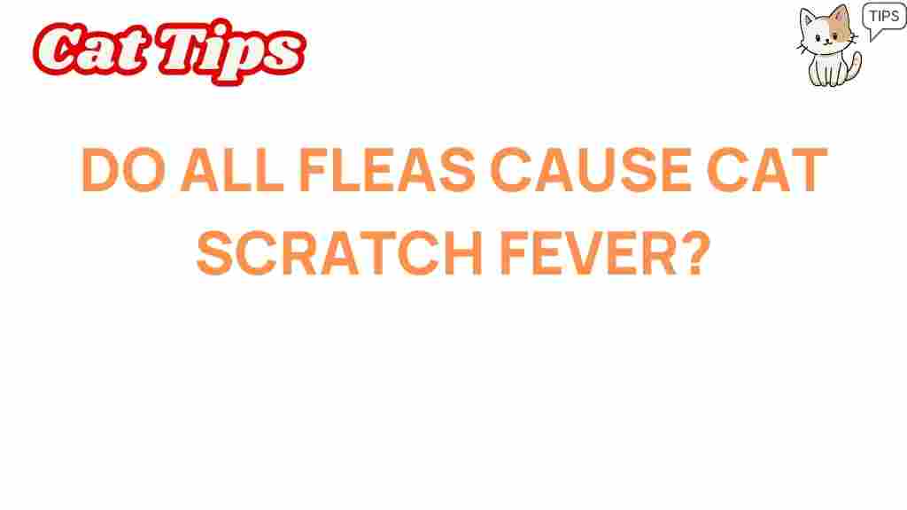 cat-scratch-fever-fleas