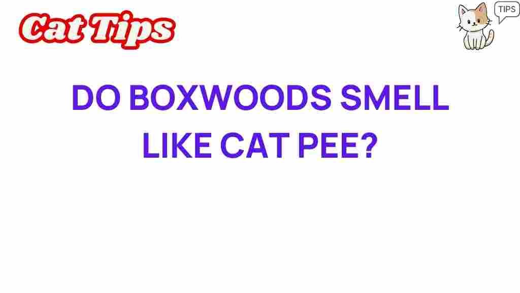 boxwoods-smell-like-cat-pee