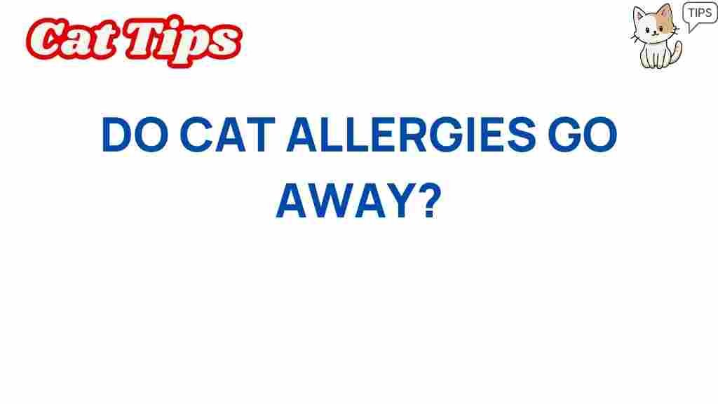 do-cat-allergies-go-away