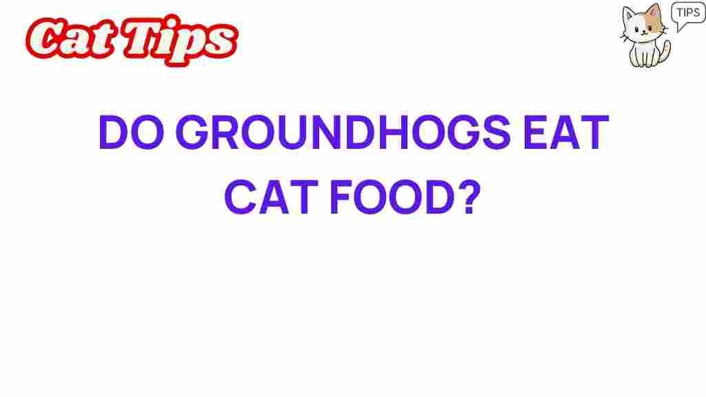 groundhogs-eat-cat-food