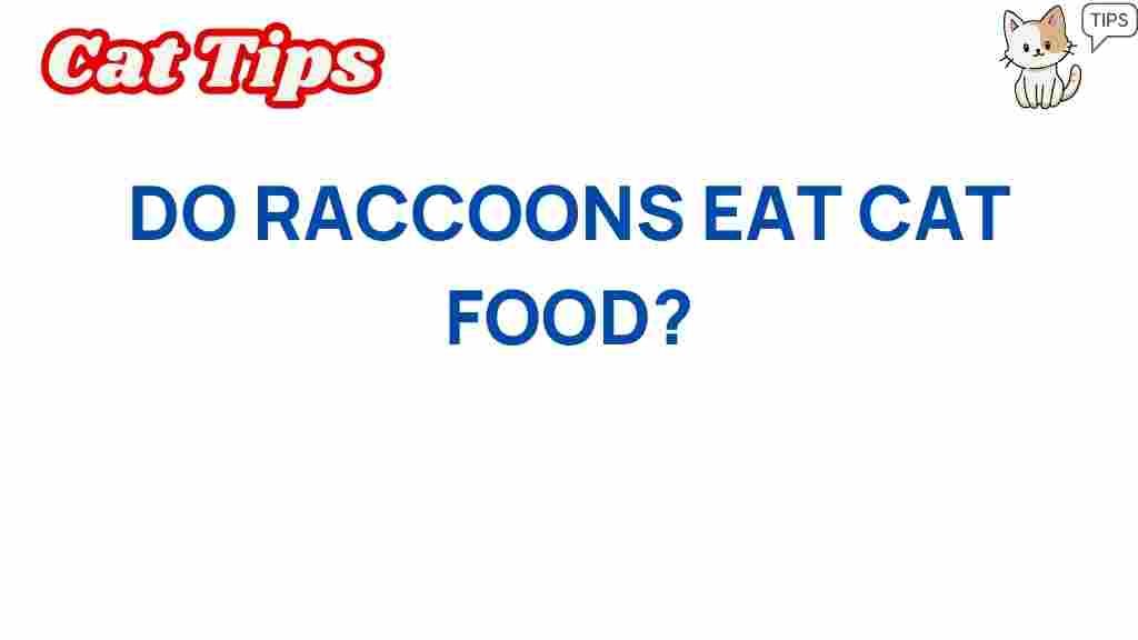 do-raccoons-eat-cat-food