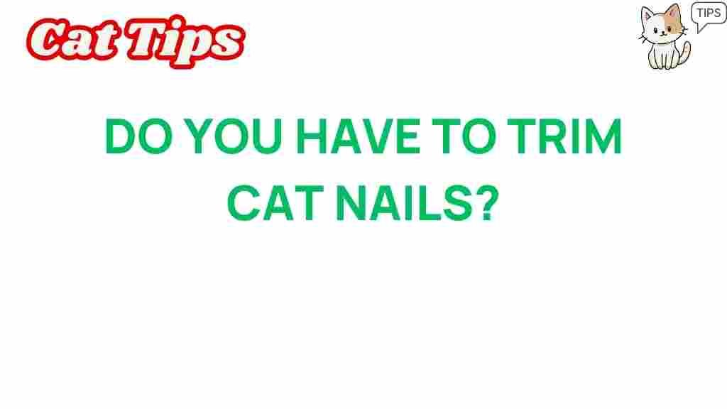 cat-nails-trimming-guide