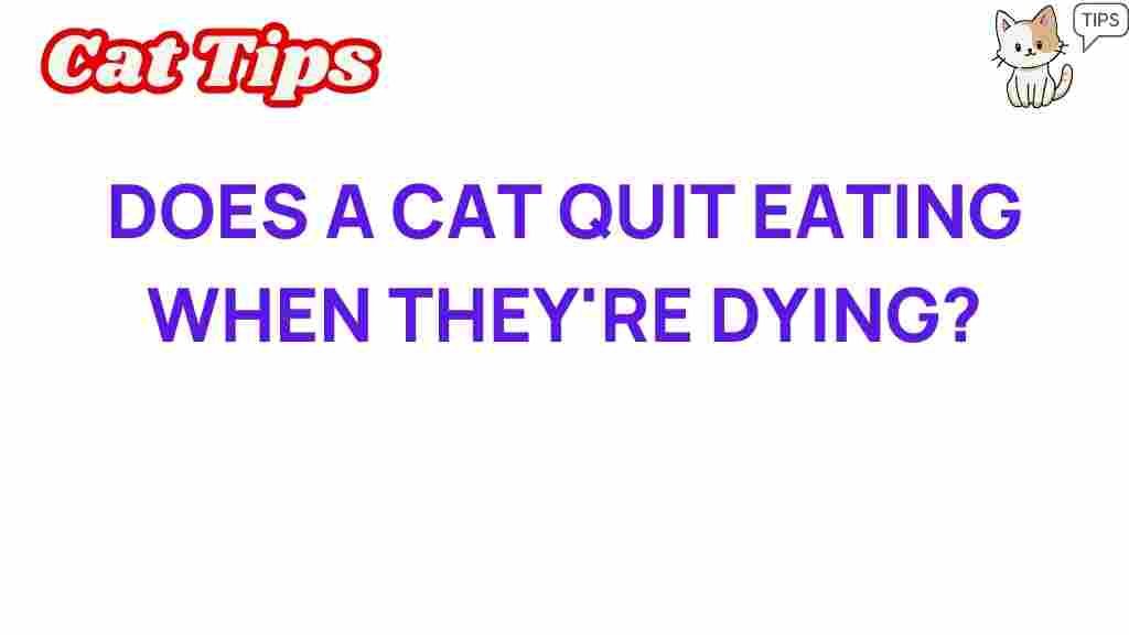 cat-health-why-stop-eating