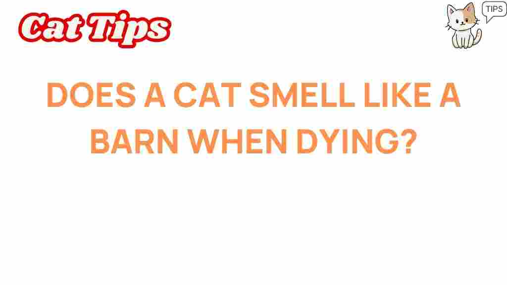 dying-cats-barn-smell