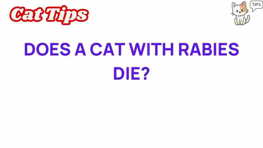 cat-rabies-die