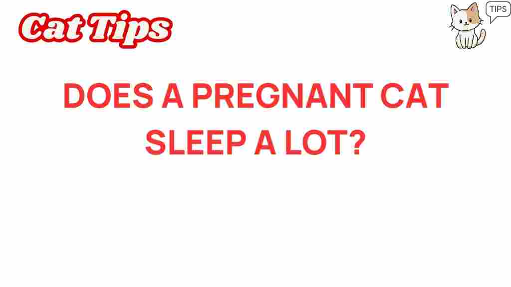 pregnant-cat-sleep-patterns