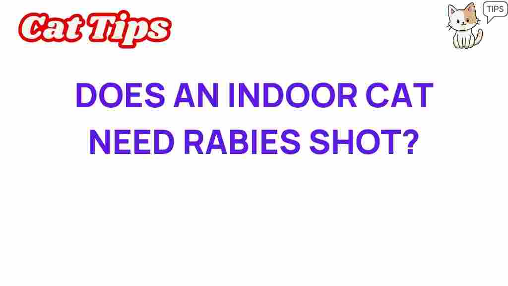 indoor-cats-rabies-shot