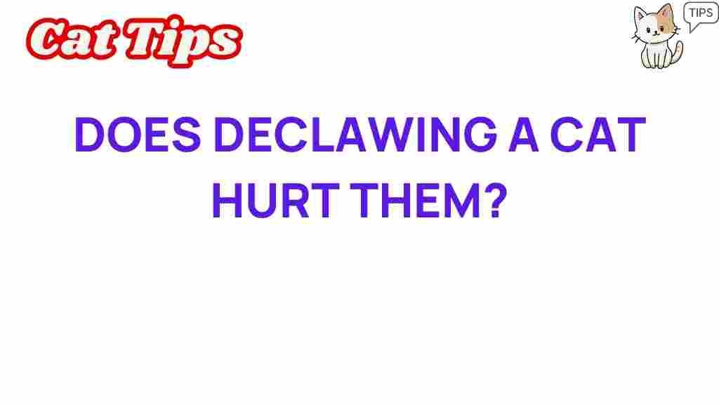 declawing-a-cat-hurt-them