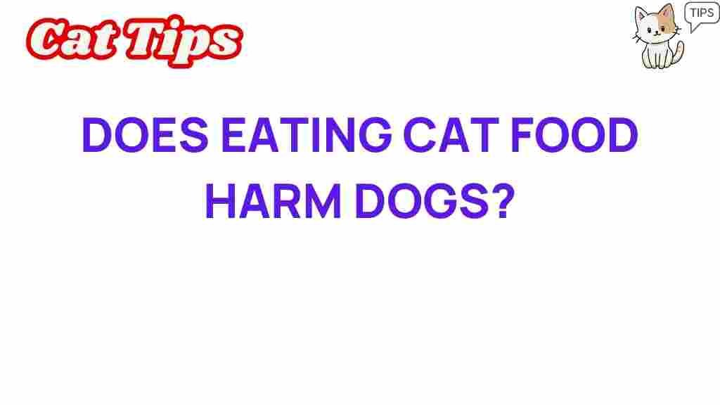 eating-cat-food-harm-dogs