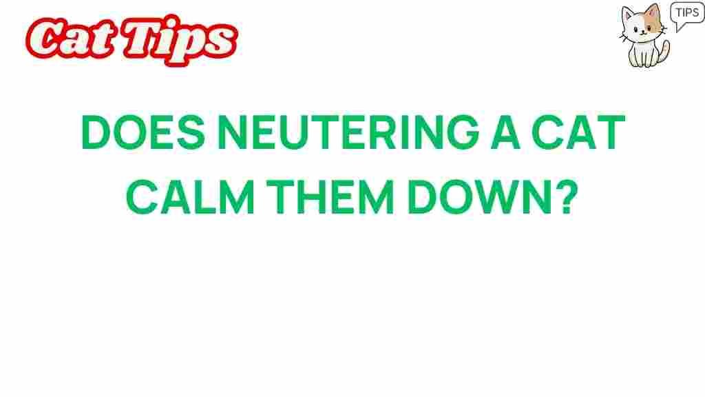 neutering-cat-behavior