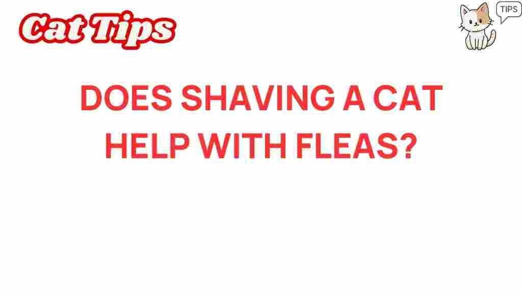 shaving-cats-help-with-fleas