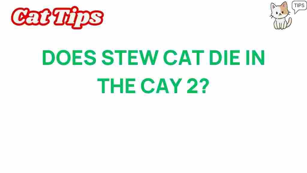 stew-cat-survive-cay-2