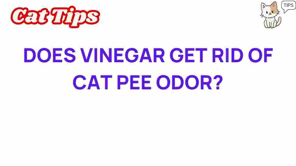 vinegar-cat-pee-odor-removal