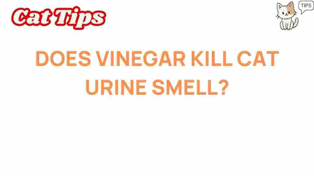 vinegar-kill-cat-urine-smell