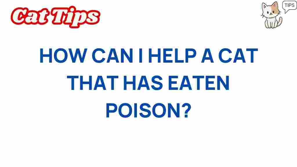 cat-poisoning-help