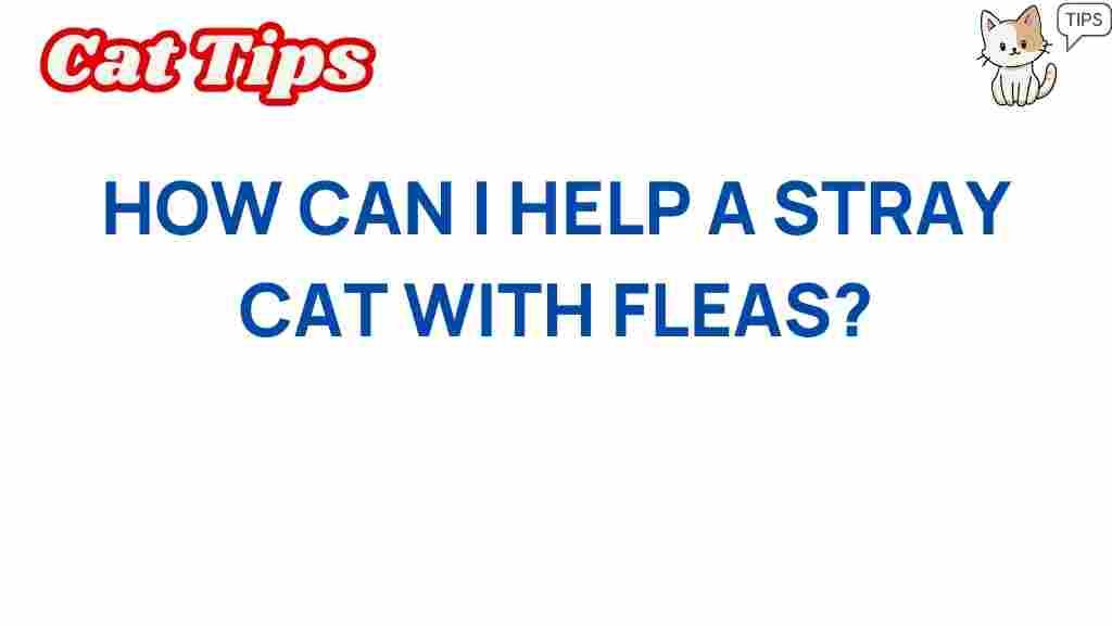 help-stray-cat-fleas