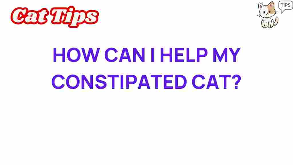 help-my-constipated-cat