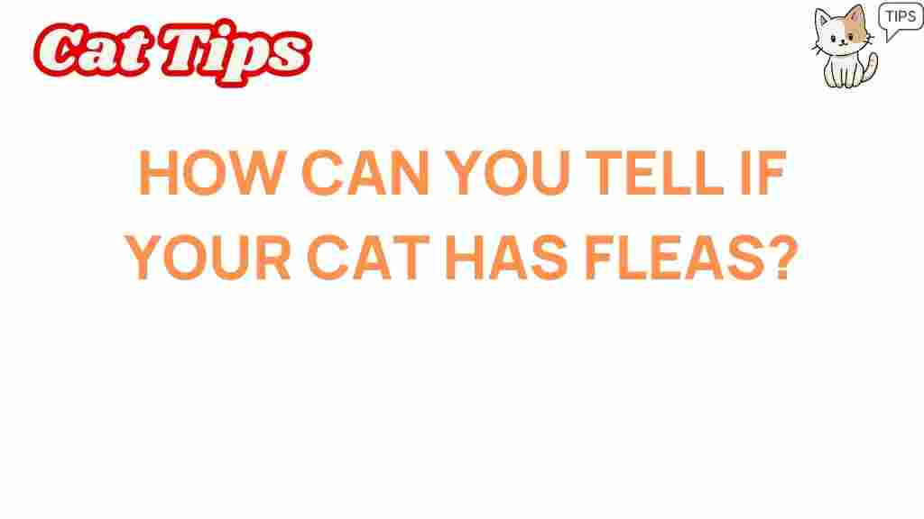 uncovering-signs-fleas-cat