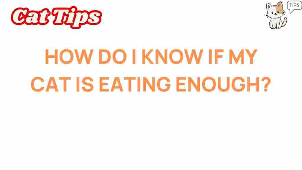 cat-nutrition-enough