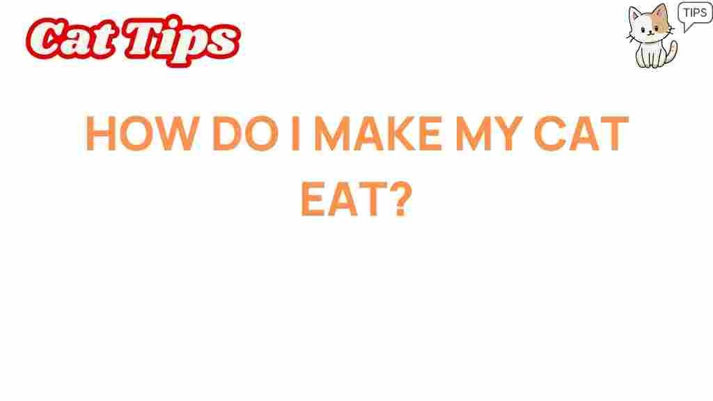 unlock-secrets-how-do-i-make-my-cat-eat