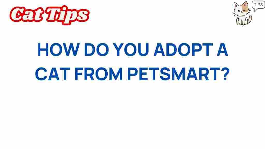 adopt-a-cat-from-petsmart