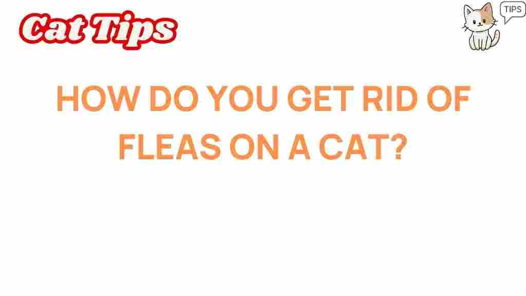 get-rid-of-fleas-on-cat