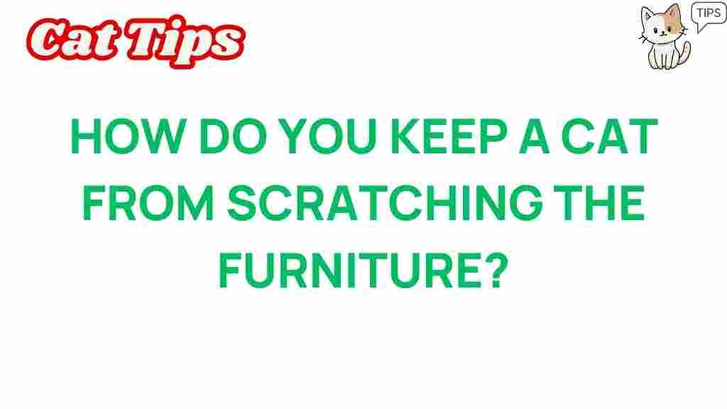 master-cat-behavior-prevent-scratching